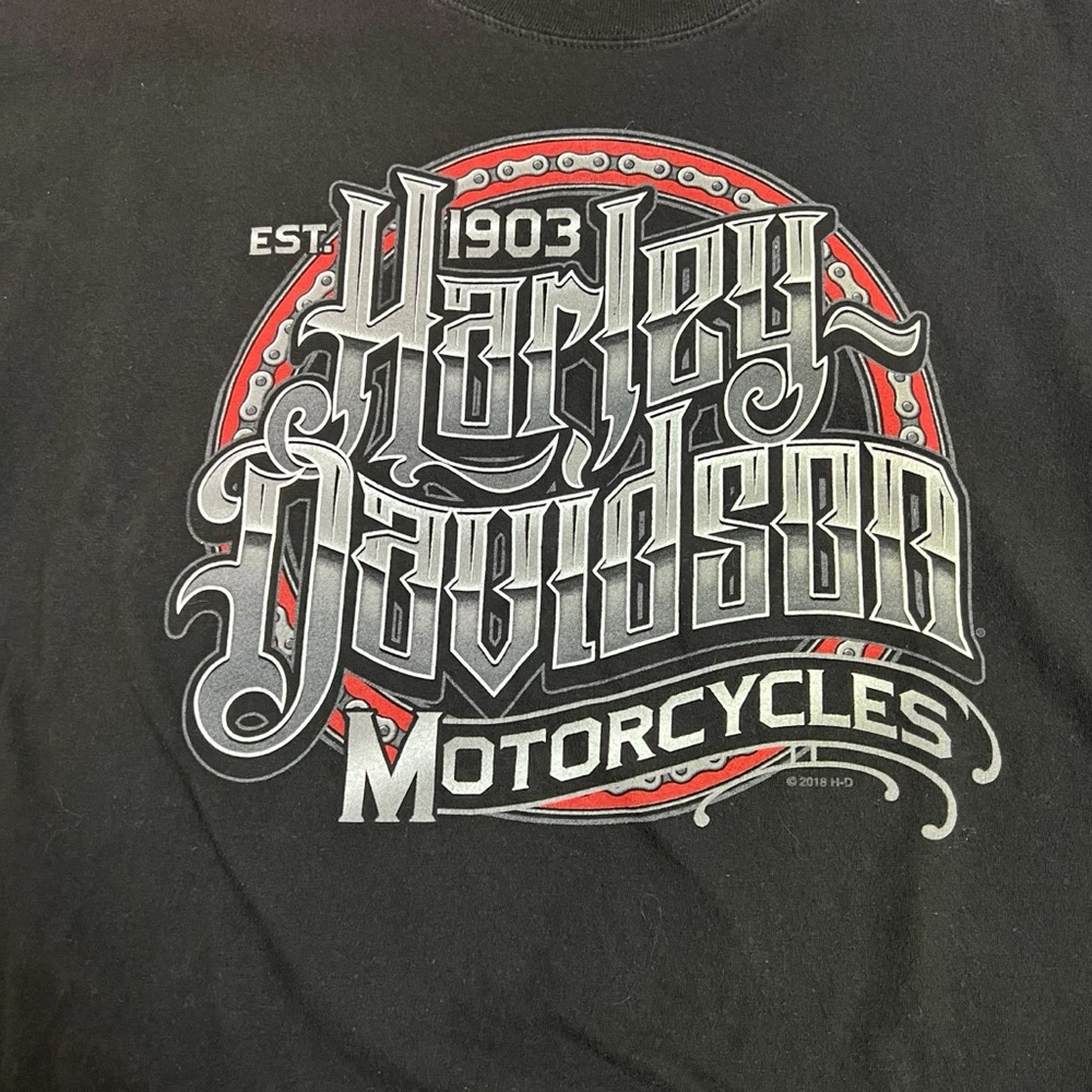 Harley Davidson Motorcycles Cotton T Shirt Black Thunder Mountain Colorado Sz Lg